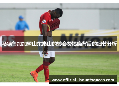 马德鲁加加盟山东泰山的转会费揭晓背后的细节分析